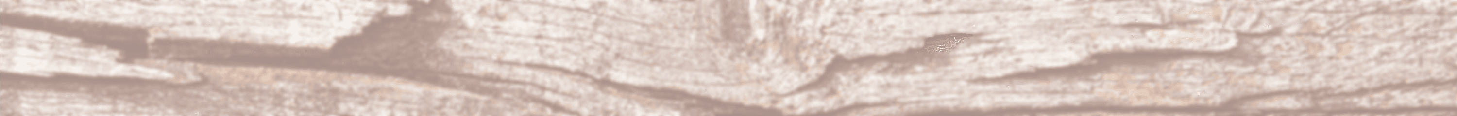 Close-up of natural wood grain and texture