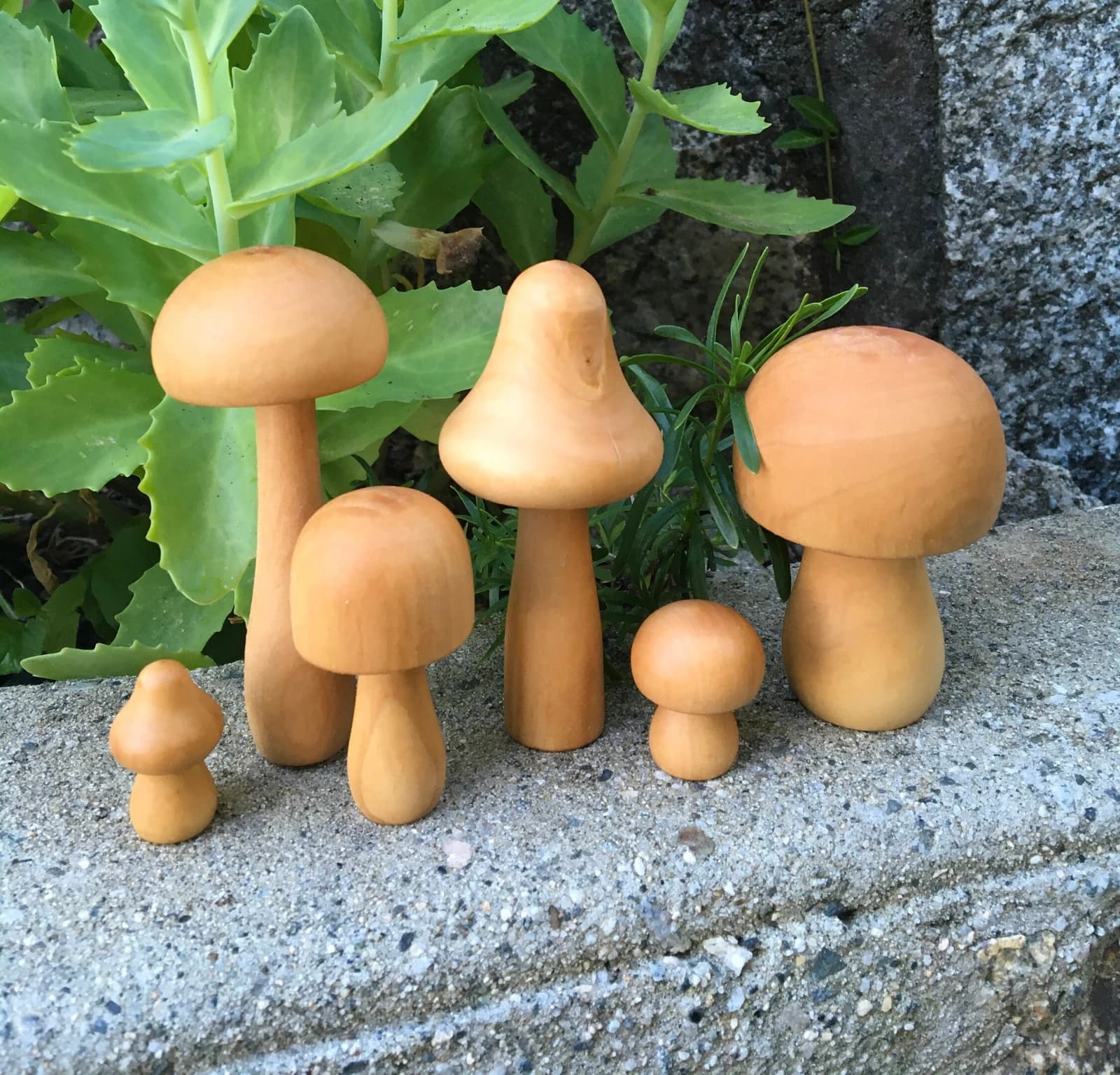 Wooden mushroom forest photographed in its original setting