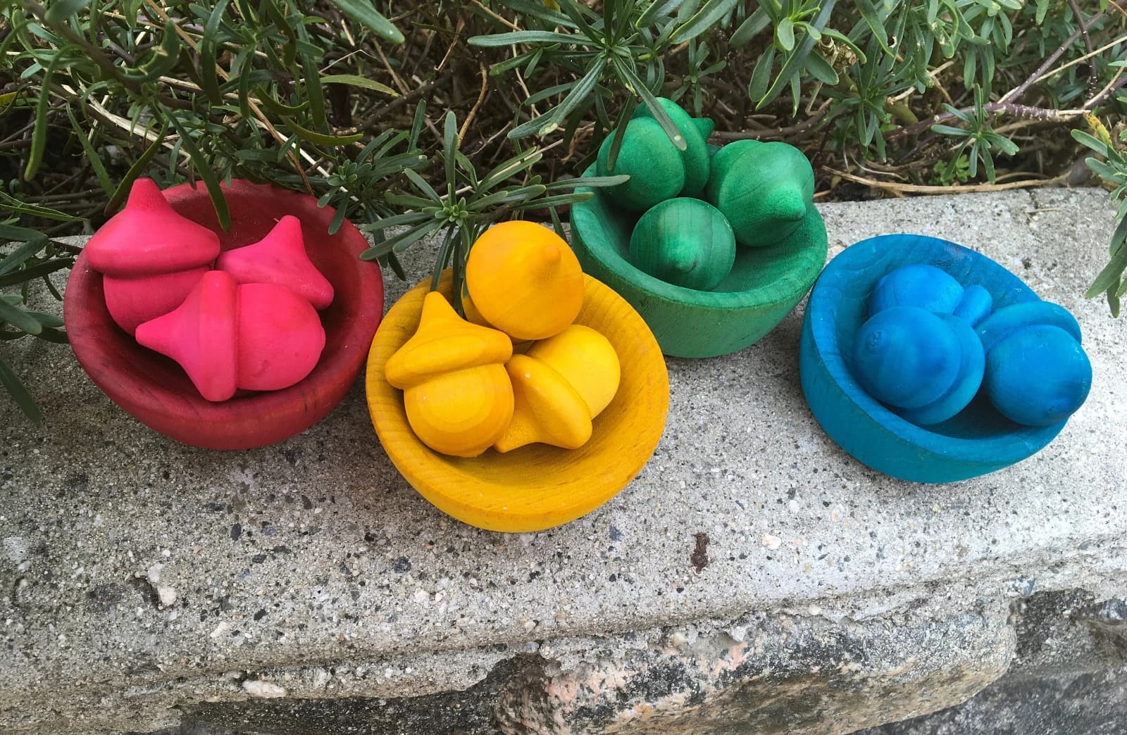 Colourful acorn sorting photographed in its original setting