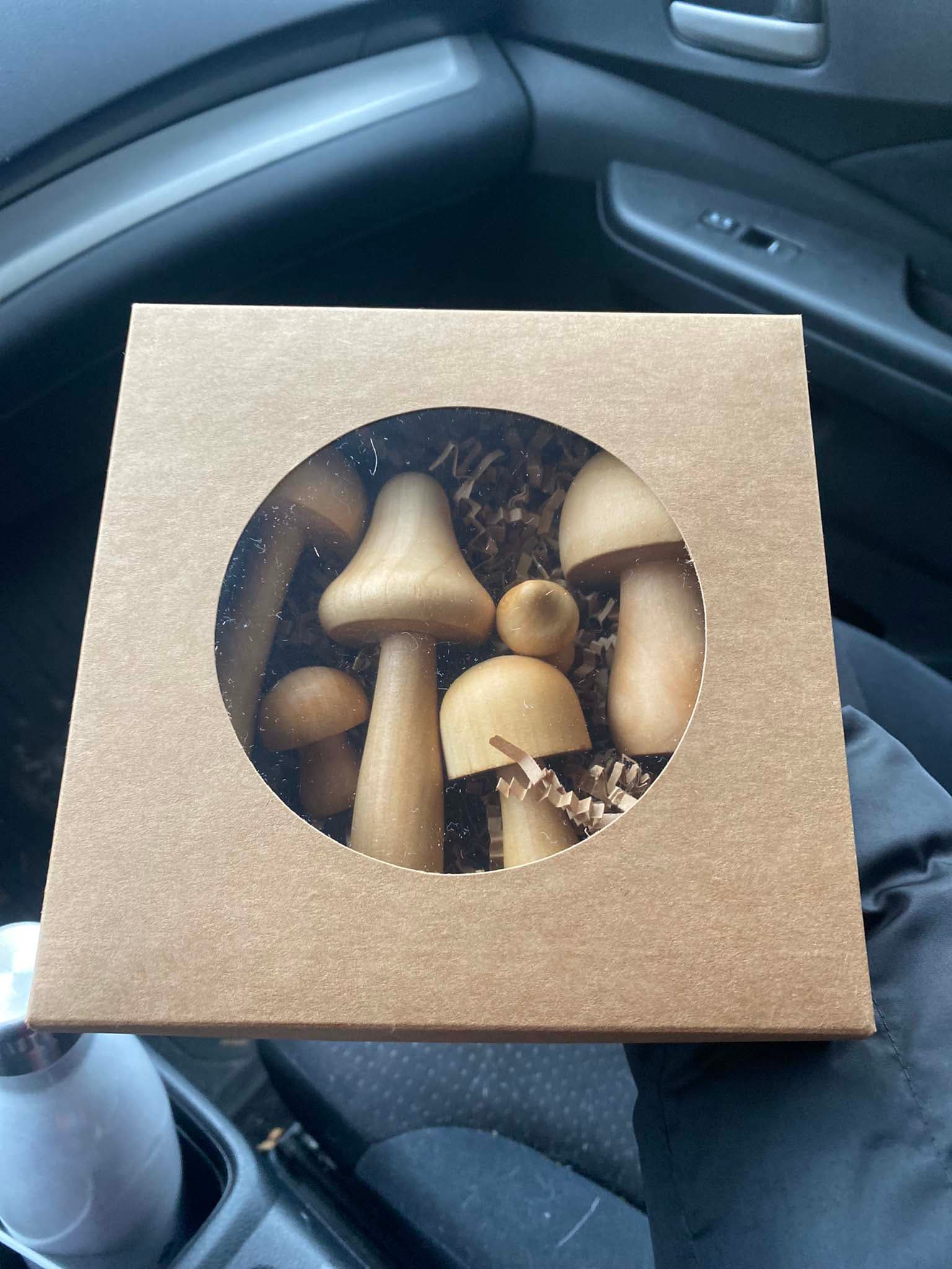 Handcrafted wooden mushroom forest playset finished with beeswax